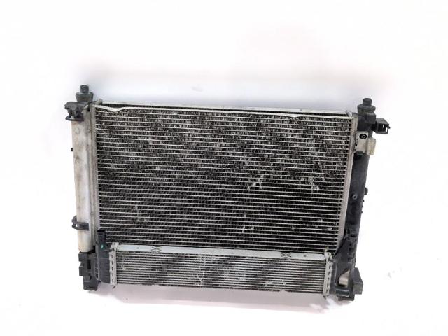 214104225R Radiador de refrigeración del motor  disponible Málaga