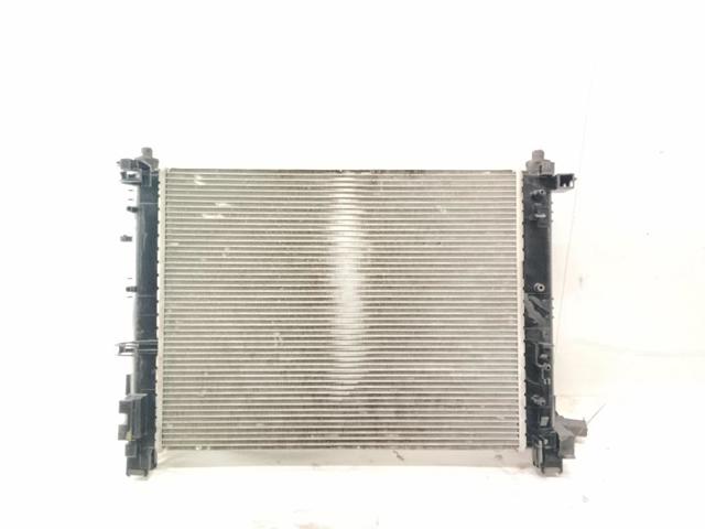 RENAULT 214104225R Radiador de refrigeración del motor  comprar en Albacete