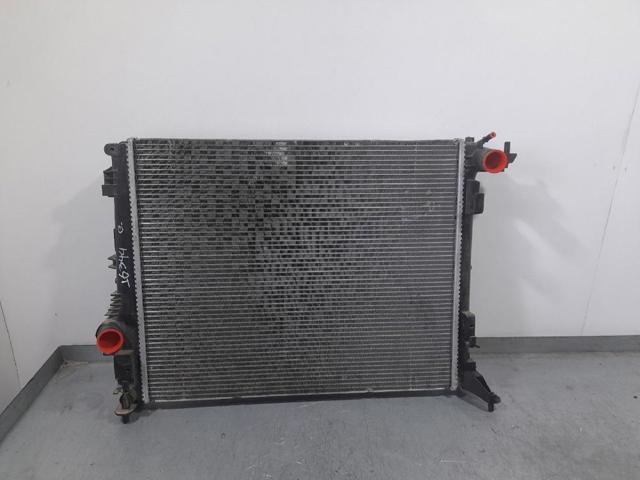 214105169R Renault (RVI)