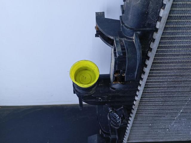 214105803R RENAULT Radiador de refrigeración del motor  comprar en Jaén