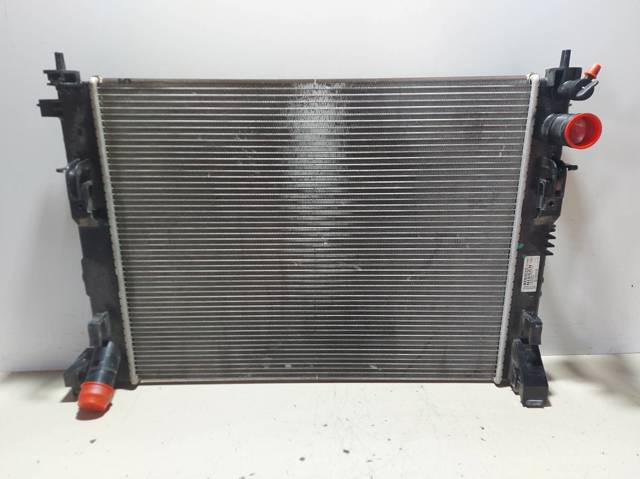 214105FA0A Nissan/Infiniti