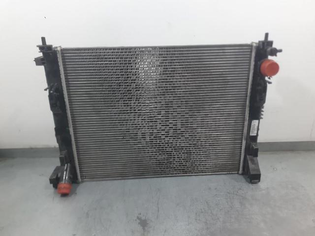 NISSAN 214105FA0A Radiador de refrigeración del motor  comprar en Albacete