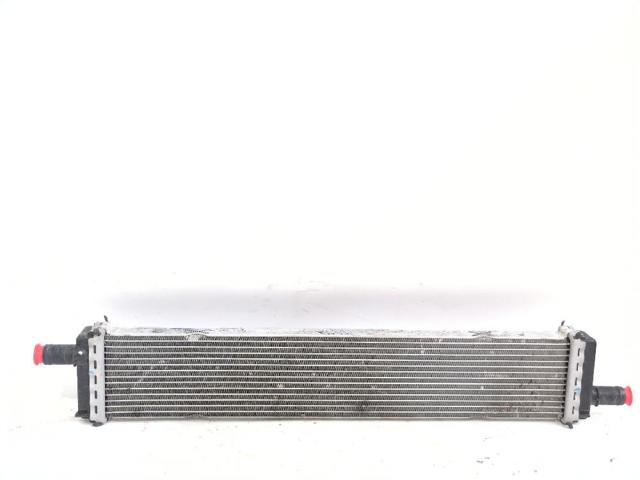 RENAULT 214108020R Radiador de refrigeración del motor  comprar en Murcia