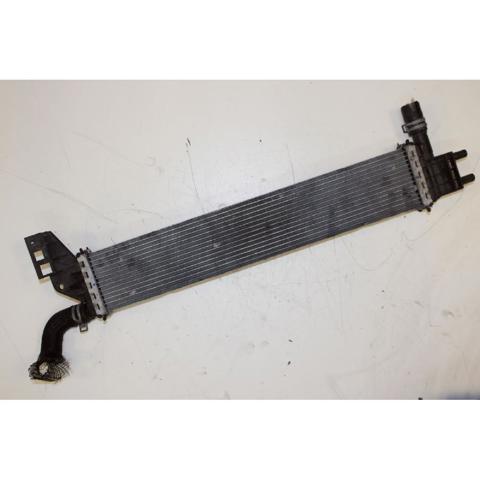 214108831R Radiador de refrigeración del motor izquierdo  disponible Málaga