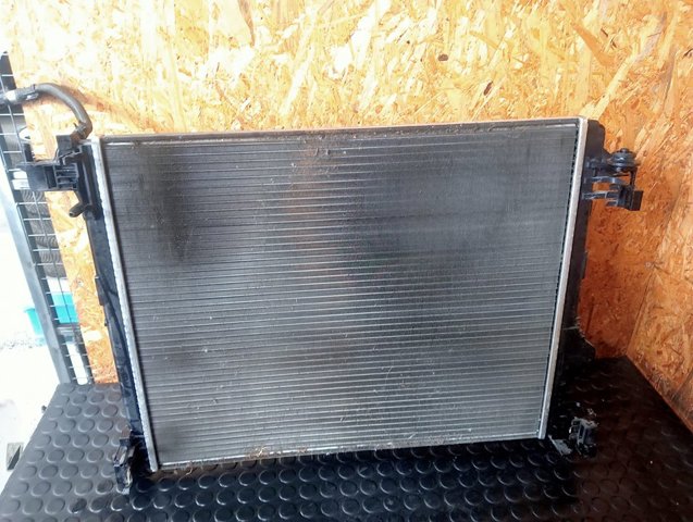 214109798R Renault (RVI)