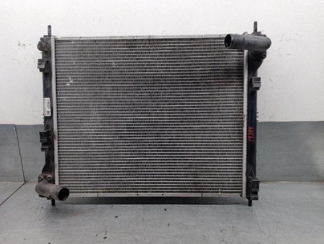 21410BA61A Nissan/Infiniti