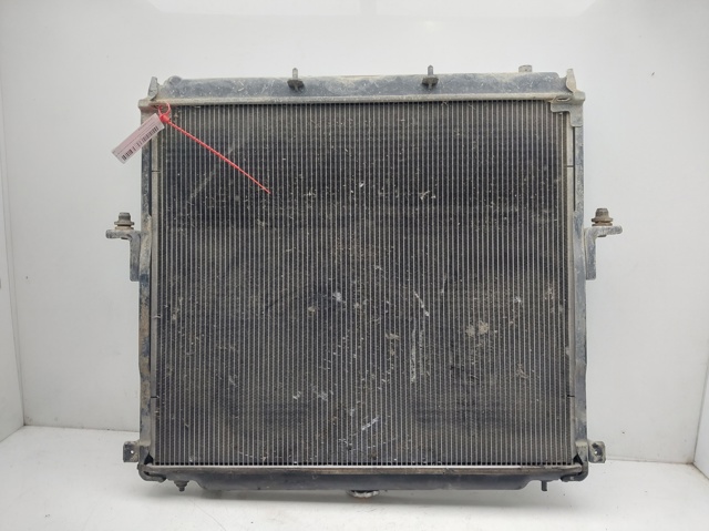 Radiador refrigeración del motor 21410EB30A Nissan