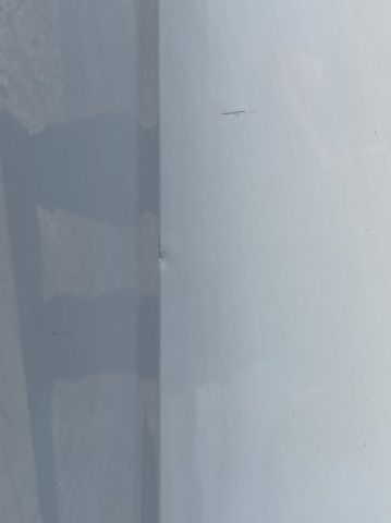 2147844 Puerta delantera derecha  disponible Málaga