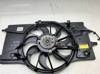 Ventilador del motor 214810039R RENAULT