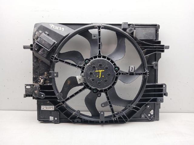 214810411R Renault (RVI)