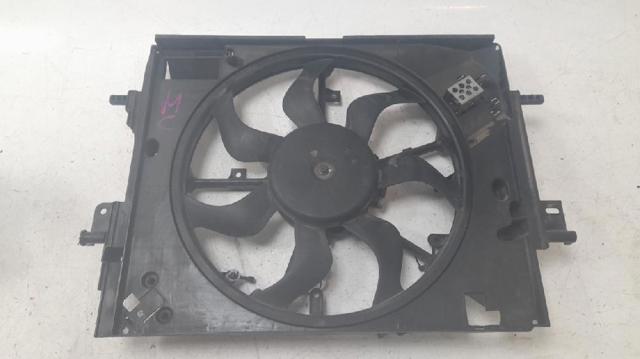 214810411R Renault (RVI)