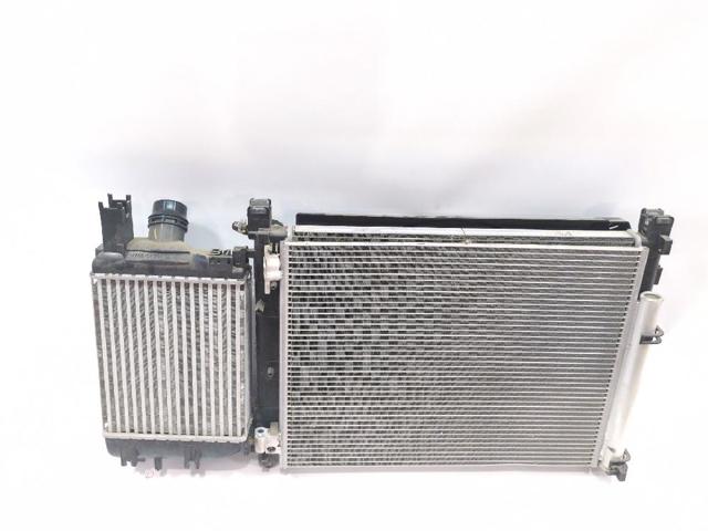 214811626R Ventilador eléctrico de refrigeración completo (motor y hélice)  comprar en Pontevedra