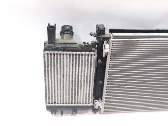 RENAULT 214811626R Ventilador eléctrico de refrigeración completo (motor y hélice)  comprar en Albacete