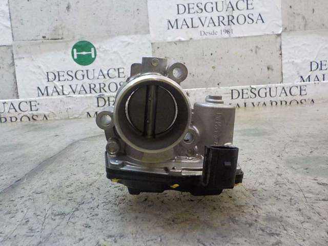 2168321 Cuerpo de mariposa  en stock Granada