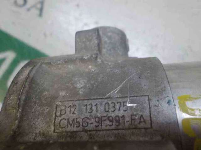 2168321 Cuerpo de mariposa  en stock Castellón