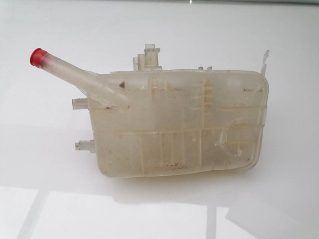 RENAULT 217100005R Vaso de expansión  en stock Salamanca
