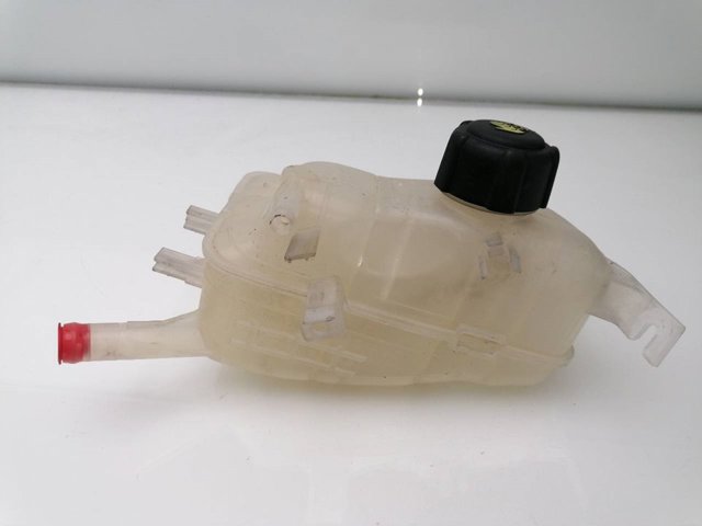 217100005R RENAULT Vaso de expansión  en stock Córdoba