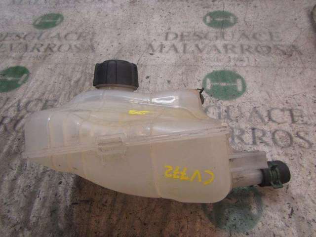RENAULT 217100005R Vaso de expansión  en stock Salamanca