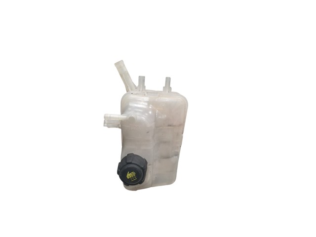 RENAULT 217100005R Vaso de expansión comprar Tarragona