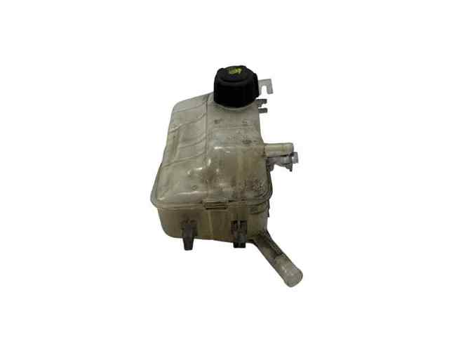 Comprar Deposito expansion Scenic III JZ0, JZ1