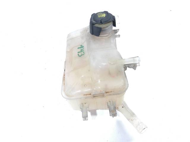 RENAULT 217100005R Vaso de expansión  en stock Terrassa