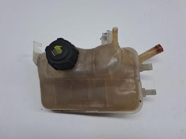 217100005R RENAULT Vaso de expansión  en stock Huelva