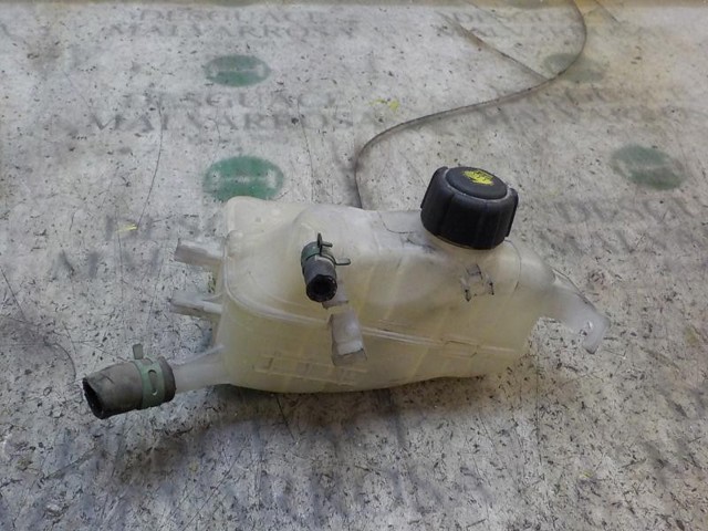 RENAULT 217100005R Vaso de expansión  en stock Valencia
