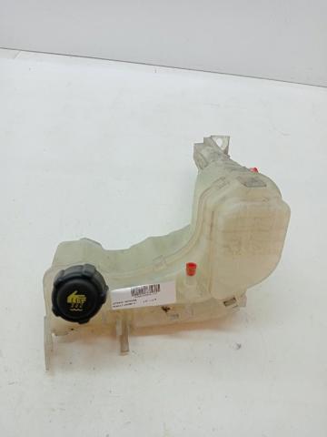 217100014R RENAULT Depósito de expansión del sistema de refrigeración  disponible Ourense