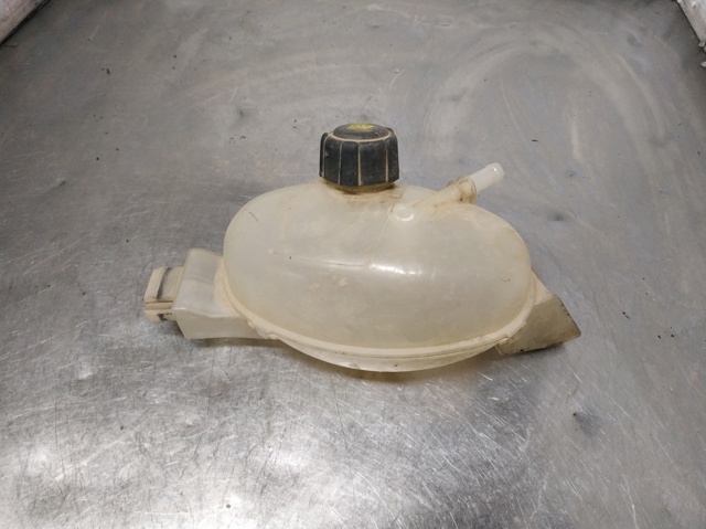 217100015R RENAULT Vaso de expansión comprar Alcalá