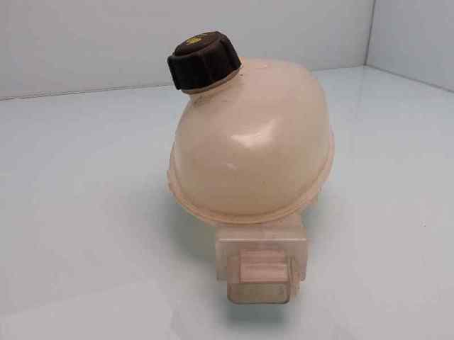 217100015R RENAULT Vaso de expansión comprar Alcalá