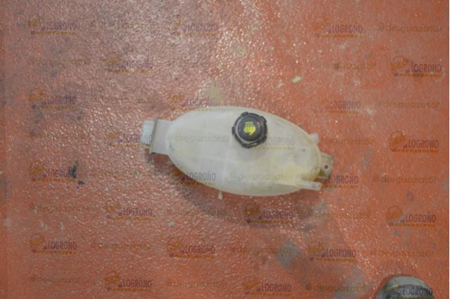 217100015R Renault (RVI)