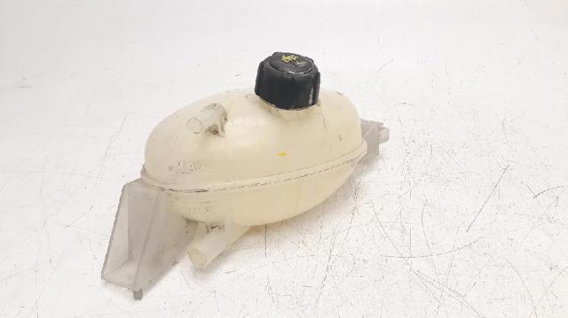 217100015R RENAULT Vaso de expansión  en stock Huelva