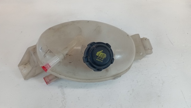 217100015R Vaso de expansión  en stock Castellón