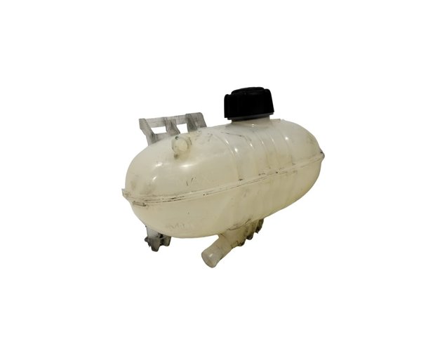 217101893R Renault (RVI)