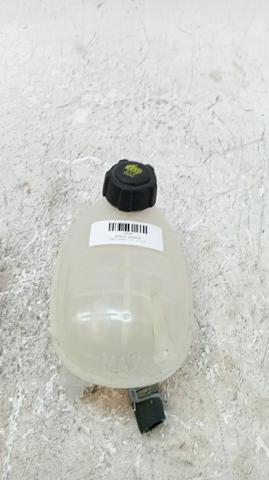 Botella expansion Dacia Sandero III desde 37,75 €
