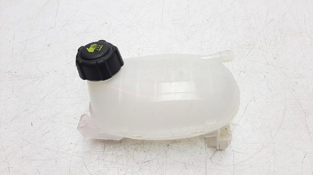 Botella de refrigeración Renault Clio V hatchback comprar en España