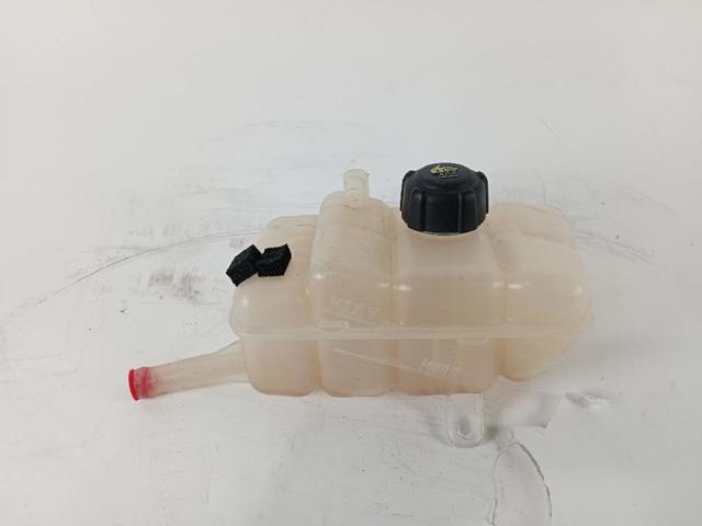 217102781R RENAULT Vaso de expansión comprar Madrid