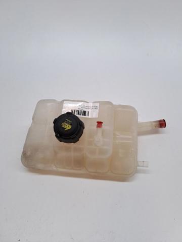 Botella expansion Renault Scenic IV desde 28,16 €