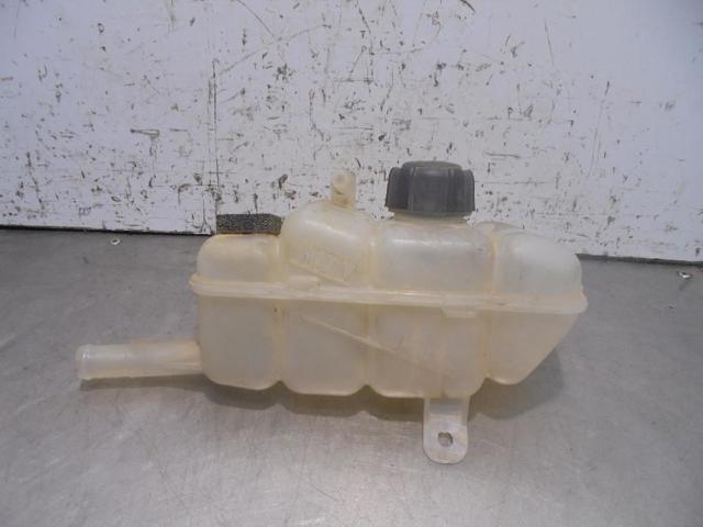 RENAULT 217104048R  comprar en Albacete