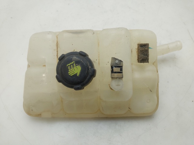 217104048R Renault (RVI)
