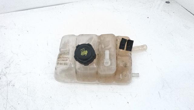 217104048R Renault (RVI)
