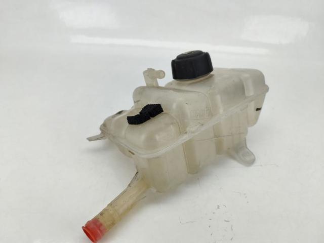 RENAULT 217104048R  comprar en Murcia