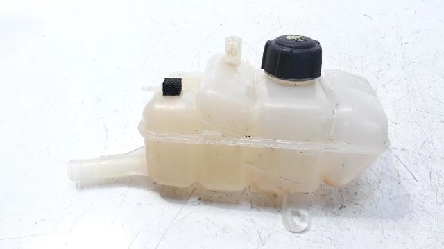 217104048R Renault (RVI)