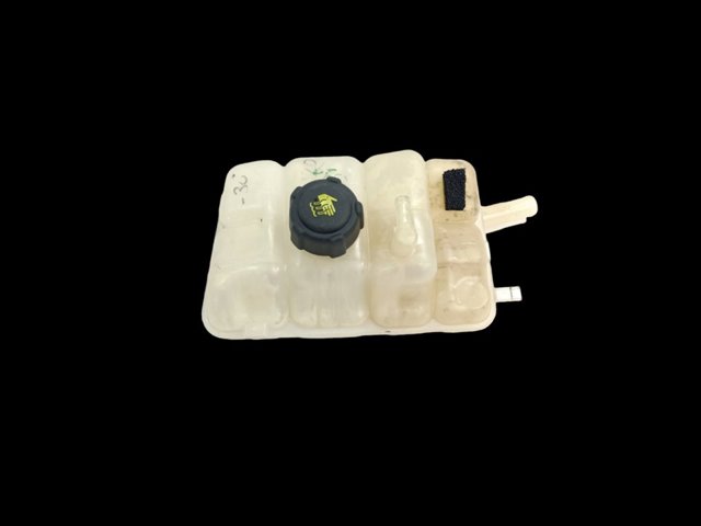 217104048R RENAULT  comprar en Lleida