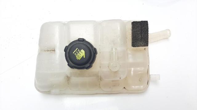 217104048R Renault (RVI)