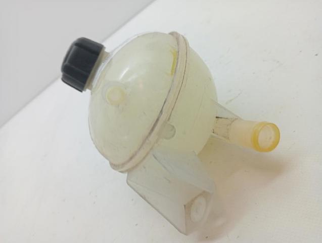 217104354R RENAULT Botella de refrigeración  disponible Vigo