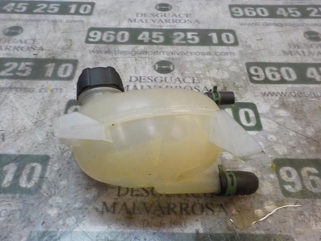 217104354R Botella de refrigeración  comprar en Pontevedra