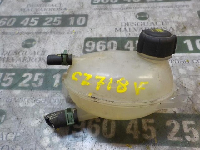 217104354R Botella de refrigeración  comprar en Pontevedra