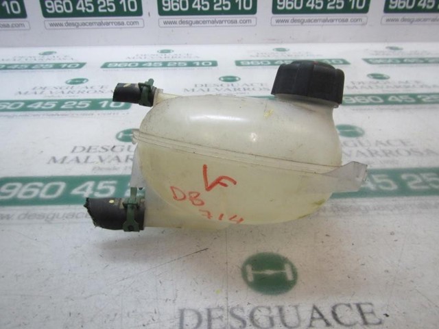 Botella de refrigeración 217104354R RENAULT