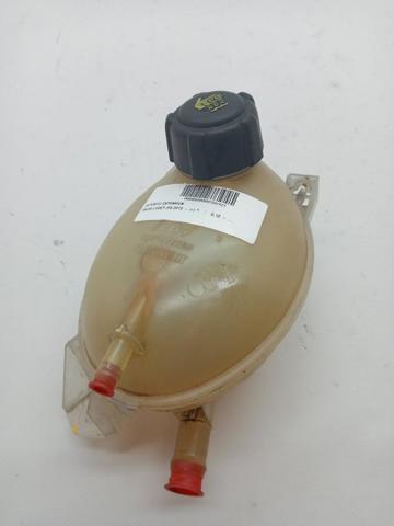 Botella expansion 217104354R RENAULT